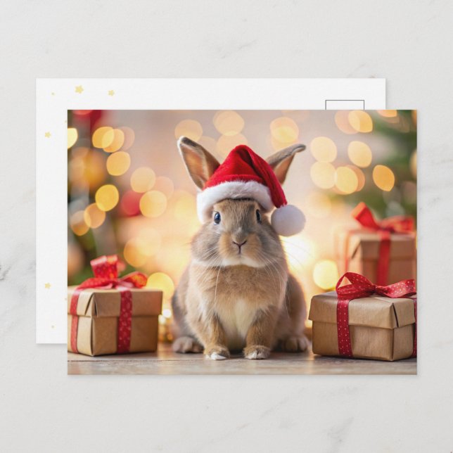 Christmas Bunny rabbit sitting with a Santa hat Holiday Postcard (Front/Back)