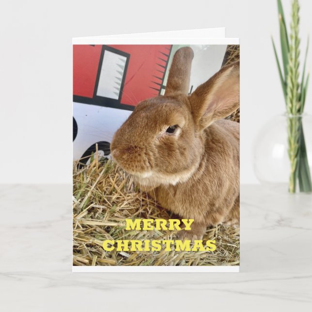 **CHRISTMAS BUNNY** SAY **MERRY CHRISTMAS** TO YOU HOLIDAY CARD (Front)