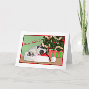 Christmas, Buon Natale, Italian, Sleeping Cat Holiday Card