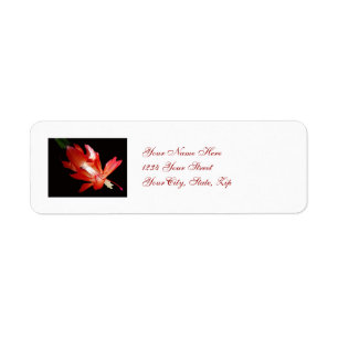 Christmas Cactus Address Label
