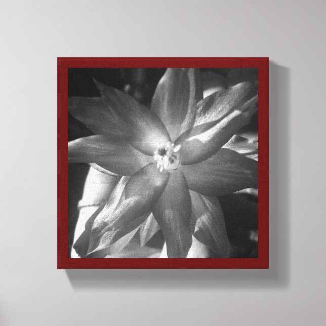 christmas cactus canvas print (Front)