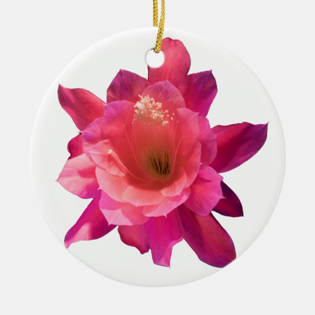 Christmas Cactus Ceramic Tree Decoration (Front)