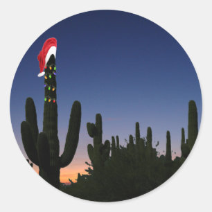 Christmas Cactus Classic Round Sticker