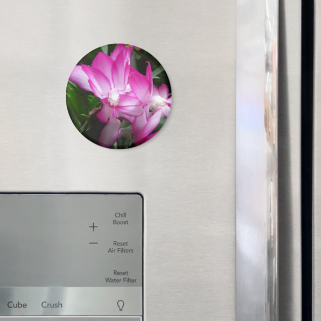 Christmas Cactus Flowers Magnet (In Situ (Fridge))