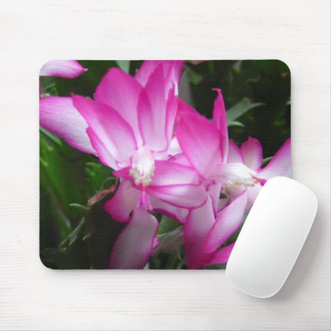 Christmas Cactus Flowers Mousepad (With Mouse)