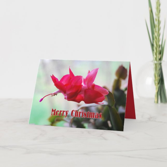 Christmas Cactus Merry Christmas Holiday Card (Front)