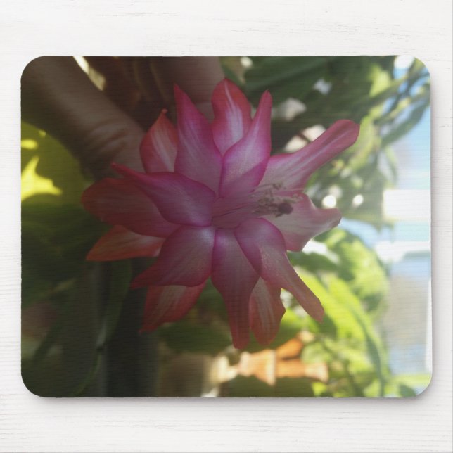 christmas cactus mousepad (Front)