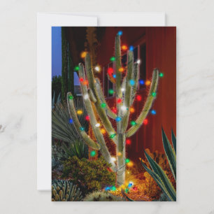 Christmas Cactus on single sided flat holiday card