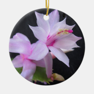 Christmas Cactus, photograph Ceramic Tree Decoration