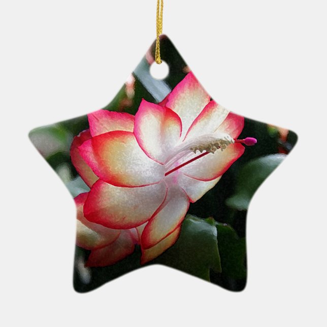 Christmas Cactus 'Samba Brazil' Ceramic Tree Decoration (Front)