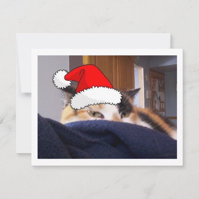 Christmas Calico Cat Holiday Card (Front)