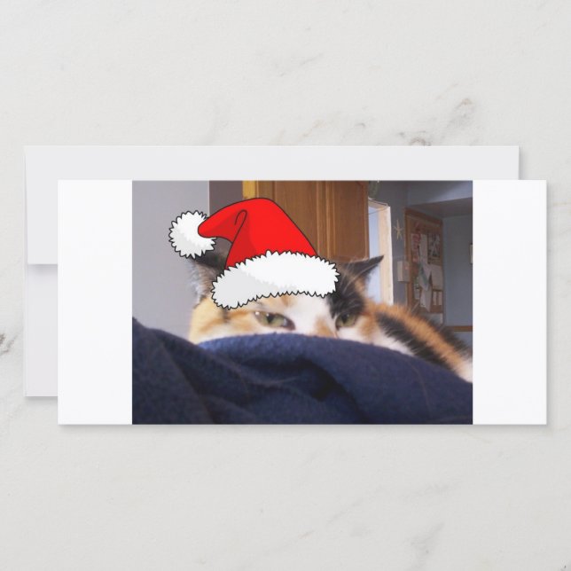 Christmas Calico Cat Holiday Card (Front)