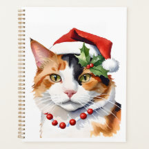 Christmas Calico cat