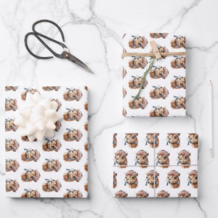Christmas Camel Wrapping Paper Sheet