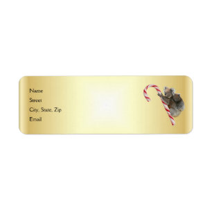 Christmas Candy Cane Koalas
