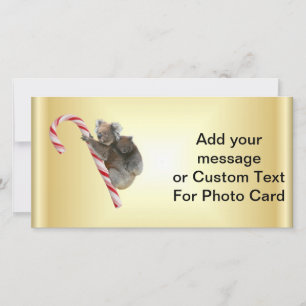 Christmas Candy Cane Koalas Holiday Card