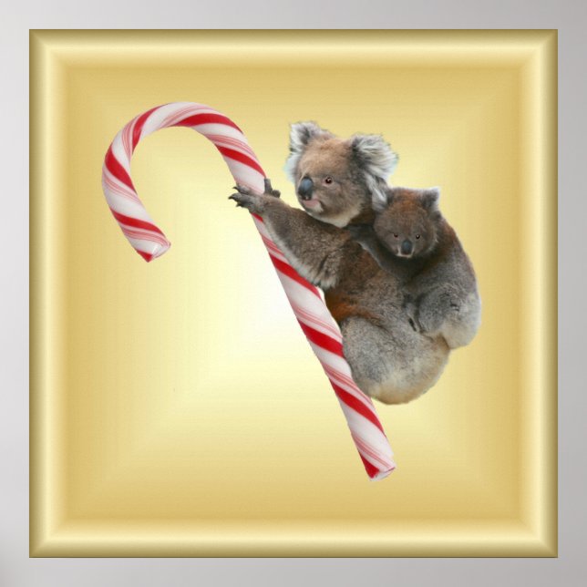 Christmas Candy Cane Koalas Poster (Front)
