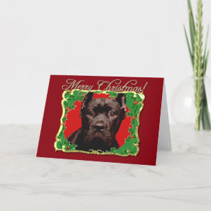 Christmas Cane Corso dog Holiday Card