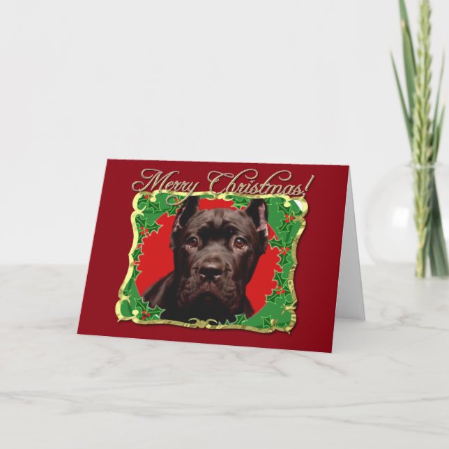 Christmas Cane Corso dog Holiday Card (Front)