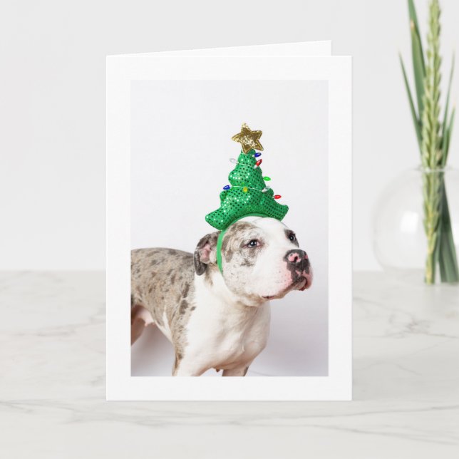 Christmas card (Front)