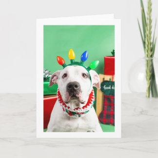 Christmas card