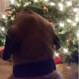 Christmas Card