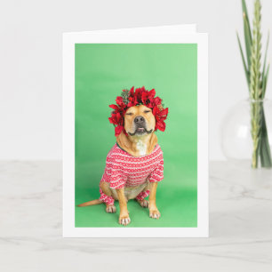 Christmas card
