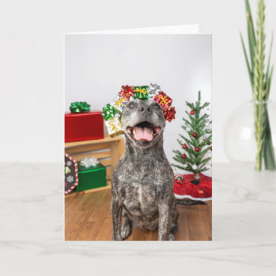 Christmas card
