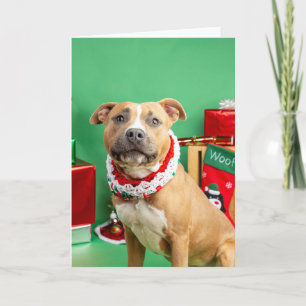 Christmas card