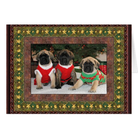 Christmas Card 2