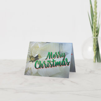 Christmas card 25 poinsettia white