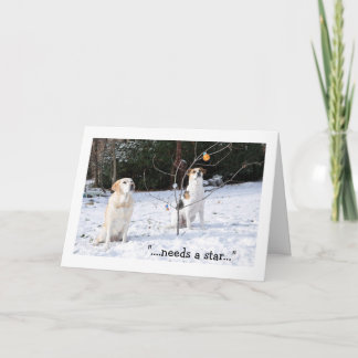 Christmas card, 2 dogs in snow looking at tree holiday card
