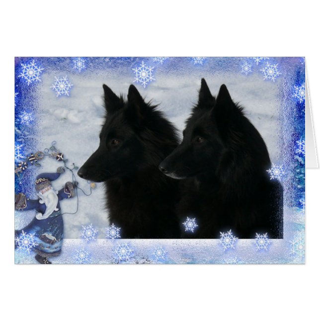 Christmas card 2 Groenendaelers (Front Horizontal)