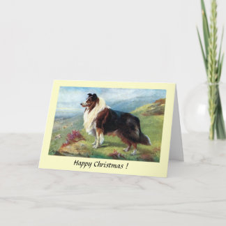 Christmas Card - A Scotch Collie