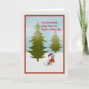 Christmas Card as Told by a Cat