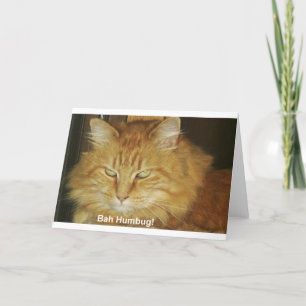 Christmas Card: Bah Humbug Holiday Card