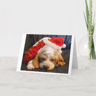 christmas card Basset hound puppy