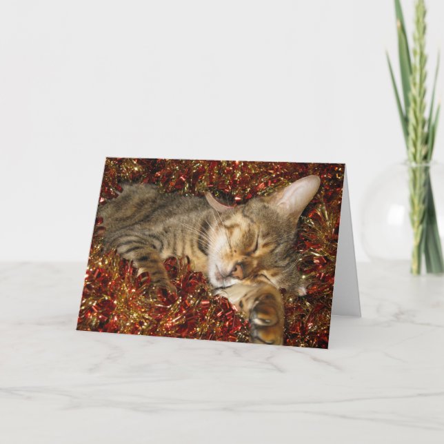 Christmas card - bengal cat (Front)