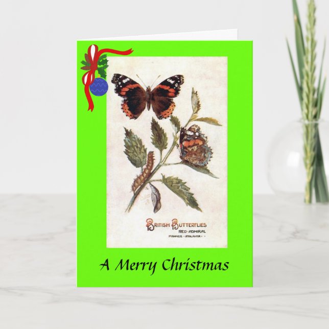Christmas Card - Butterfly (Front)