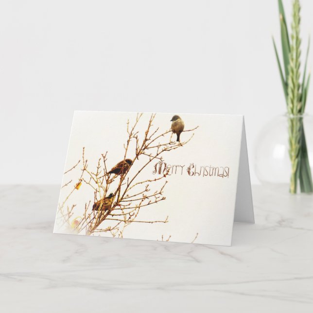 Christmas card - Christmas card - Merry Christmas! (Front)