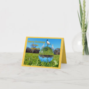 Christmas Card - Cockatoos and Ibis on Ball