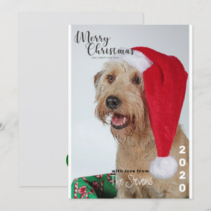 Christmas Card Dog Pet Photo Collage
