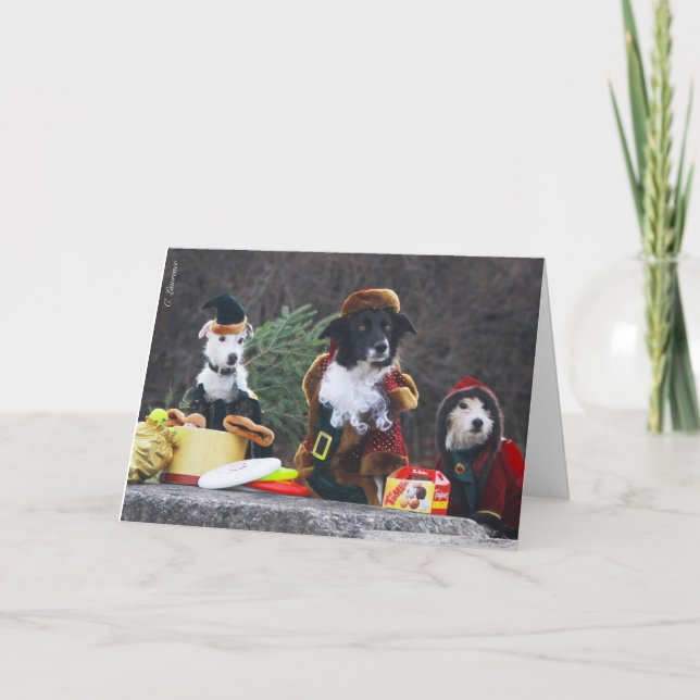 Christmas Card for Dog lovers. (Front)