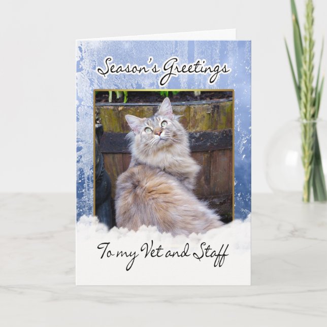 Christmas Card For Vet - Vet Christmas Card, Seaso (Front)