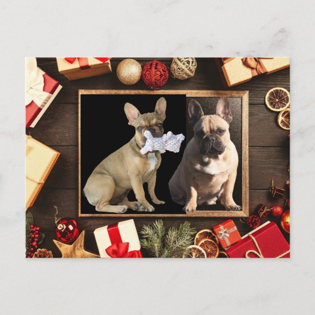 Christmas card French Bulldoggen Christmas (Front)