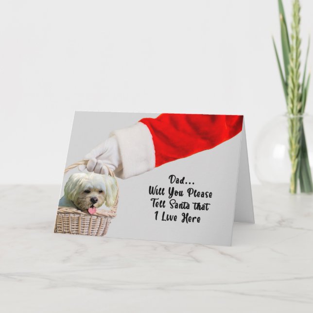 Christmas Card from Pet Dog & Santa (Front)