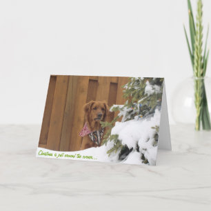 Christmas Card, Golden Retriever in Snow Holiday Card
