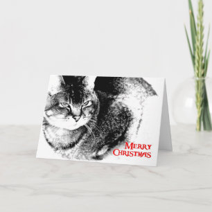 Christmas Card - Half-Burmese Cat