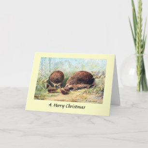 Christmas Card - Hedgehogs
