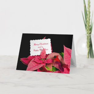 Christmas Card in Poinsettia